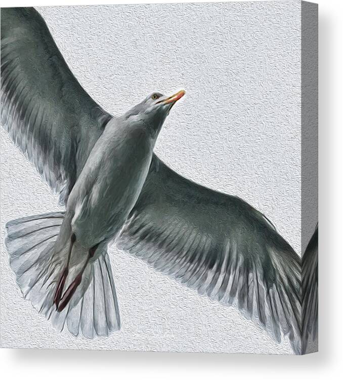 Birds Canvas Print featuring the painting Soaring High by Portraits By NC