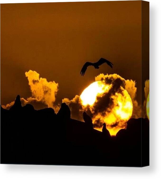Instashoot Canvas Print featuring the photograph Somewhere #sunset #no_filter #no_edit by Kevin Julian