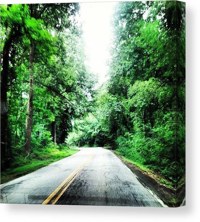 Scenery Canvas Print featuring the photograph #southcarolina #drive #road #green by Jesse Halloran