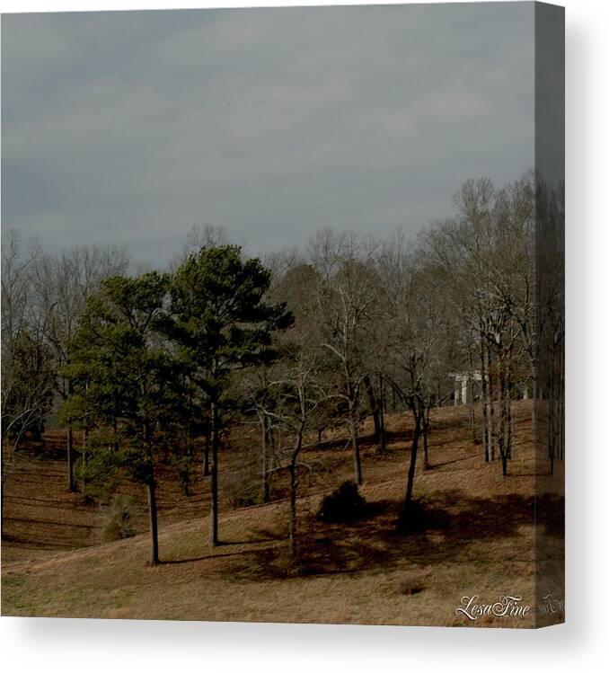 Fall Landscape Canvas Print featuring the photograph Southern Landscape by Lesa Fine