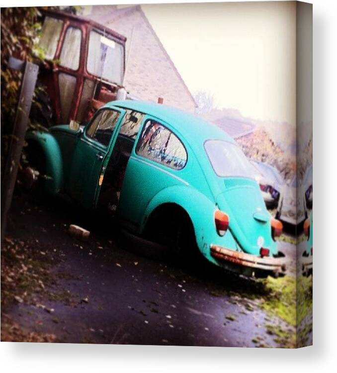 Overalisietstezien Canvas Print featuring the photograph Speciaal Voor Caroline by Lode Poncelet