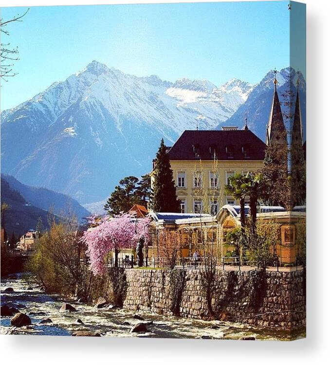  Canvas Print featuring the photograph Spring In Merano by Luisa Azzolini