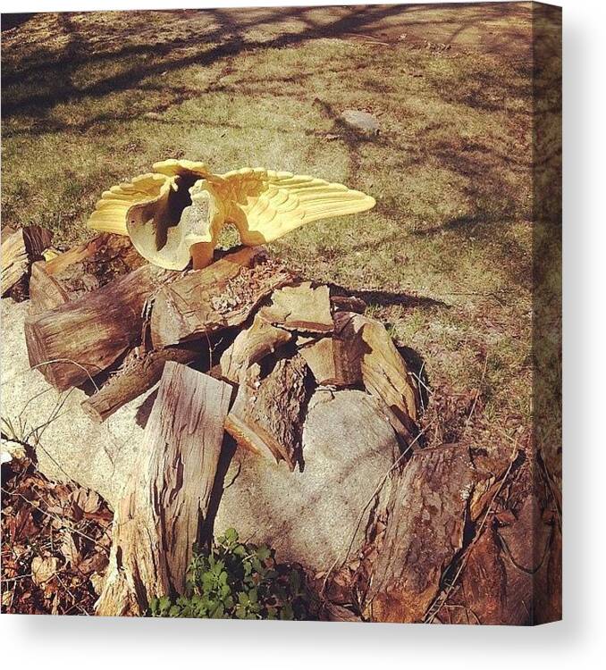 Eagle Canvas Print featuring the photograph #spring #newengland #asfound #eagle by Mathieu Bourgeois 