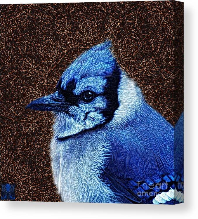 Blue Jay Canvas Print featuring the photograph Sq Blue Jay Z L by Dale Crum