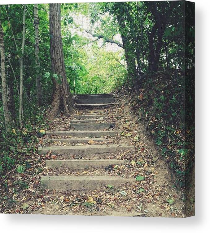 Forest Canvas Print featuring the photograph Stairs by Ashley Morton