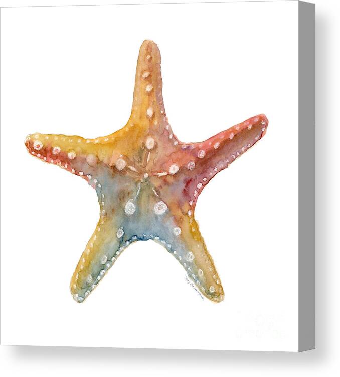 Shell Canvas Print featuring the painting Starfish by Amy Kirkpatrick