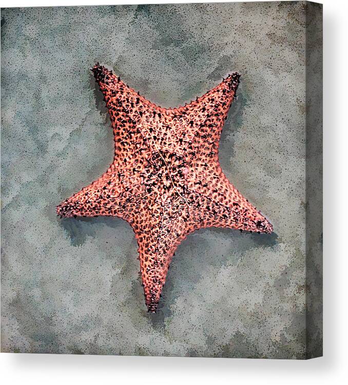 Starfish Canvas Print featuring the photograph Starfish On Artistic Sand by Gary Slawsky