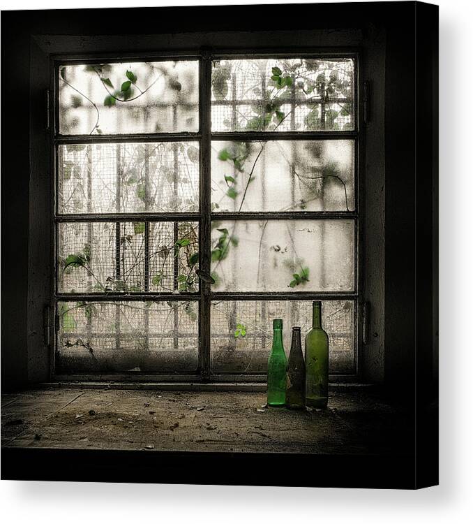 Still Life Canvas Print featuring the photograph Still-life With Glass Bottle by Vito Guarino