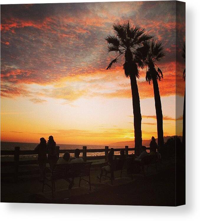 Santa Monica Canvas Print featuring the photograph Still Summer. by Shannan B
