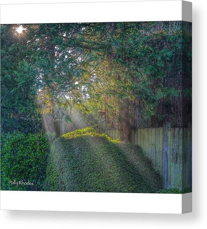 Rsa_rural Canvas Print featuring the photograph Submission For #ig_captures_lightbreak by Polly Rhodes