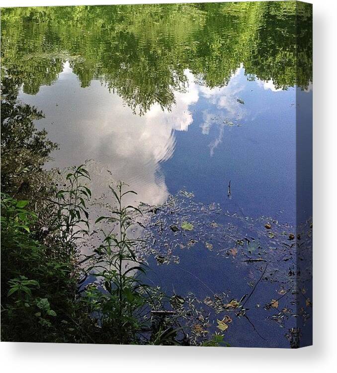 Summer Canvas Print featuring the photograph Such Beauty Resides In A Reflection Not by Amber Flowers