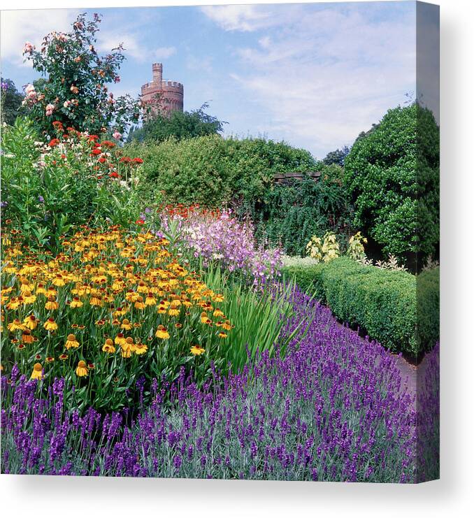 Herbaceous Border Canvas Print featuring the photograph Summer Border by Anthony Cooper/science Photo Library