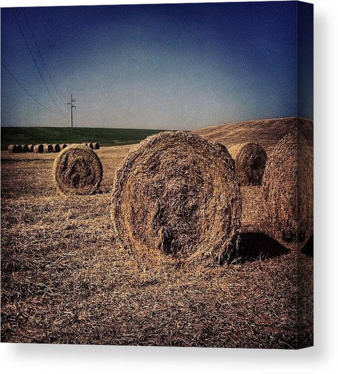 Summer Canvas Print featuring the photograph Summer Landscape by Emanuela Carratoni