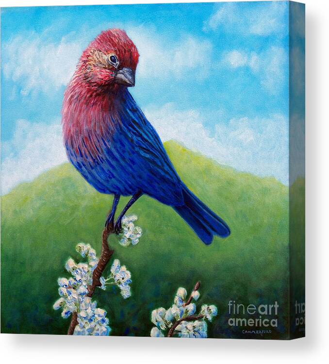 Bird Canvas Print featuring the painting Summertime by Brian Commerford