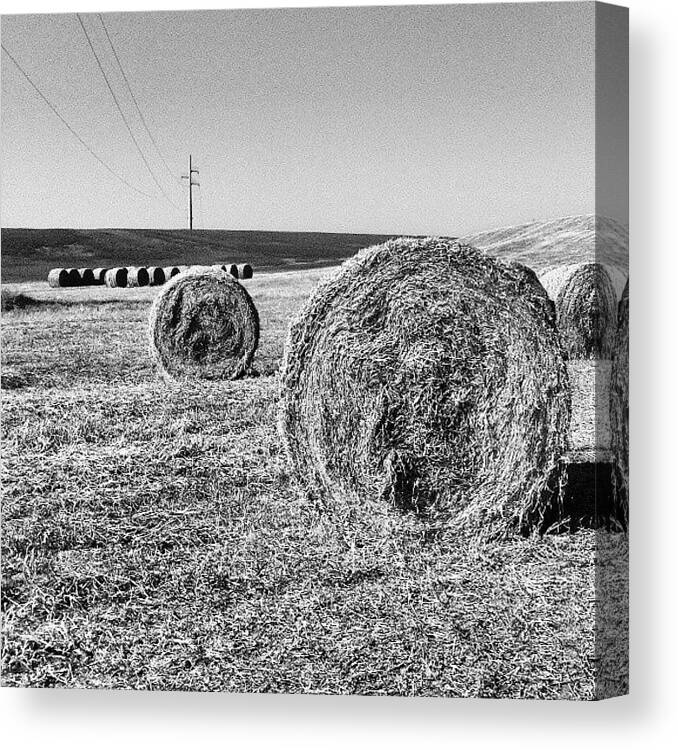 Beautiful Canvas Print featuring the photograph Summertime by Emanuela Carratoni