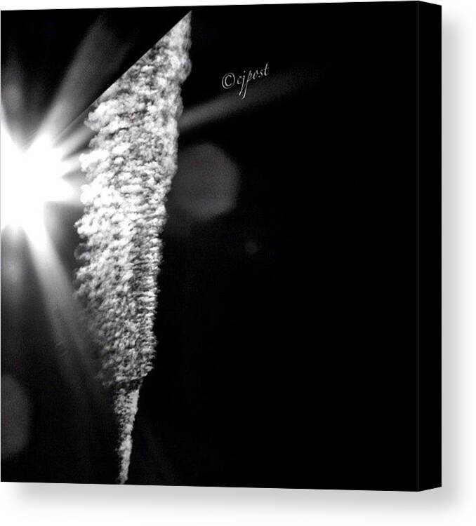 Glare Canvas Print featuring the photograph Sun Peeking Over The Edge Of My Patio by Cynthia Post