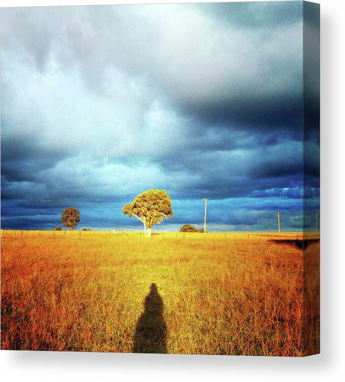 Tranquility Canvas Print featuring the photograph Sun Shines On The Golden Grass In by Photography By Bobi