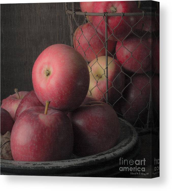 Fruit Canvas Print featuring the photograph Sun Warmed Apples Still Life Square by Edward Fielding