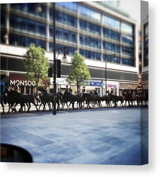 Horse Canvas Print featuring the photograph Sunday Morning, 8am On Oxford Street by Tanya Sperling