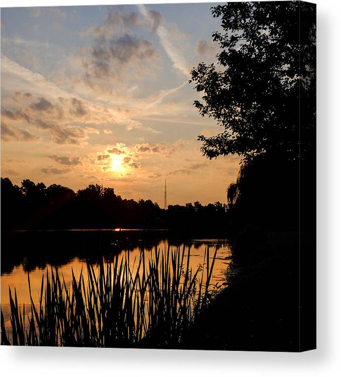 Landscape Color Canvas Print featuring the photograph Sunrise through the reeds by Chris Bordeleau