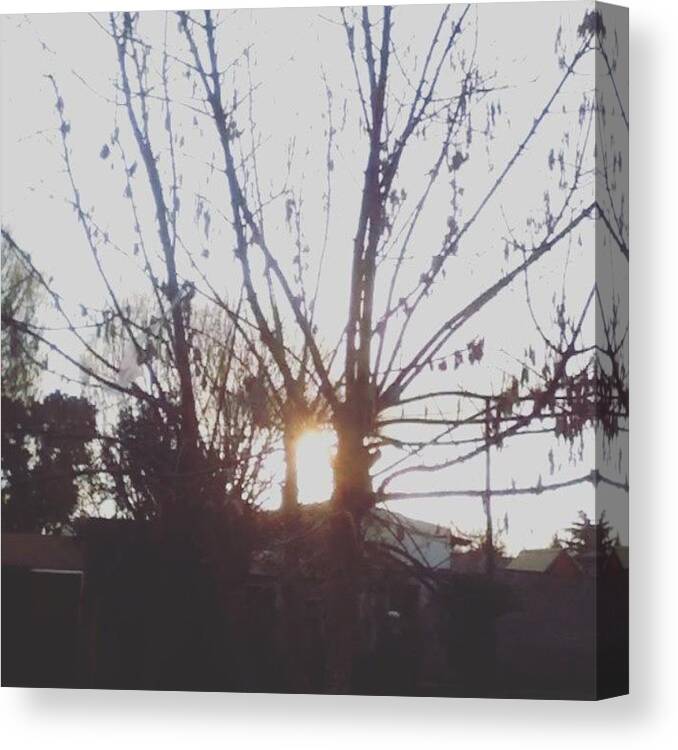 Grunge Canvas Print featuring the photograph #sunset #sun #nature #natural #forest by Pablo Elias