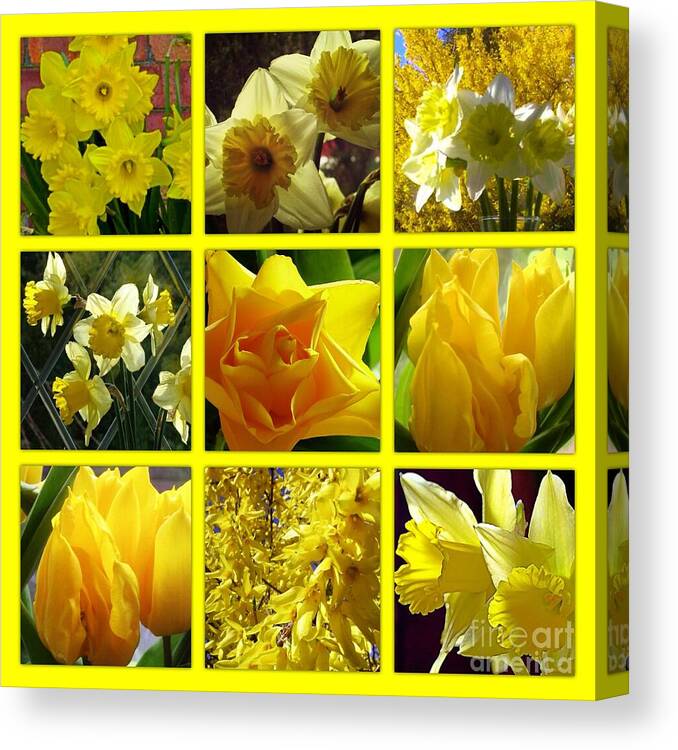 Sunny Canvas Print featuring the photograph Sunshine Gold Picture Window by Joan-Violet Stretch