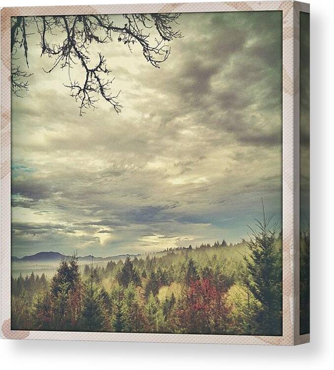 Igersfollow Canvas Print featuring the photograph Sweet Baby Jesus! Thank You For Views by Courtney Allison
