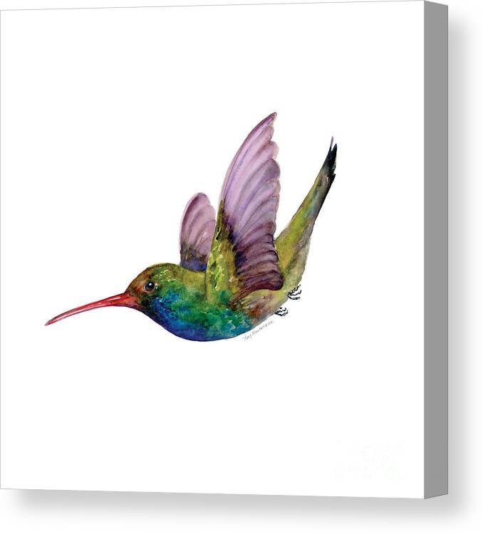 Bird Canvas Print featuring the painting Swooping Broad Billed Hummingbird by Amy Kirkpatrick