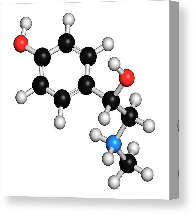 Synephrine Canvas Print featuring the photograph Synephrine Herbal Stimulant Molecule by Molekuul/science Photo Library
