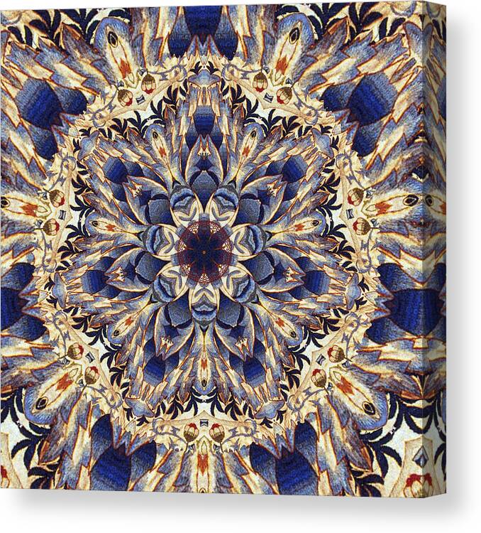 Abstract Canvas Print featuring the photograph Tapestry Mandala by Deborah Smith