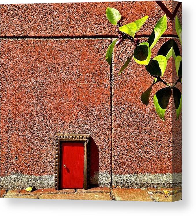 Doorsgalore Canvas Print featuring the photograph Teeny Tiny Door by Julie Gebhardt
