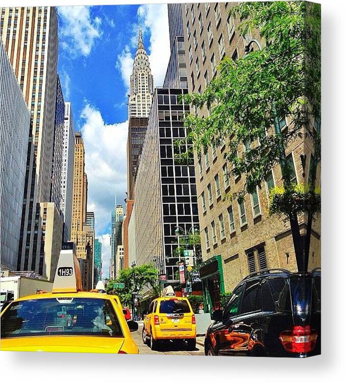  Canvas Print featuring the photograph That Concrete Jungle by Noah Terry