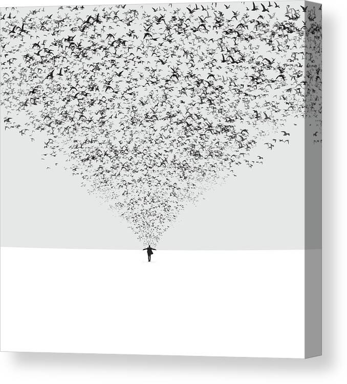 Birds Canvas Print featuring the photograph The Dark Half by Hossein Zare