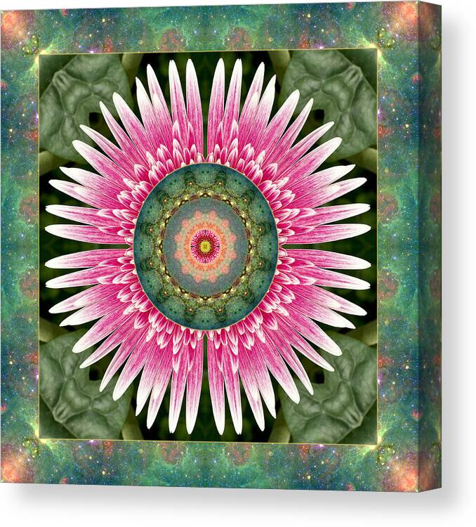 Breast Cancer Healing Yoga Art Canvas Print featuring the photograph The Dawning by Bell And Todd