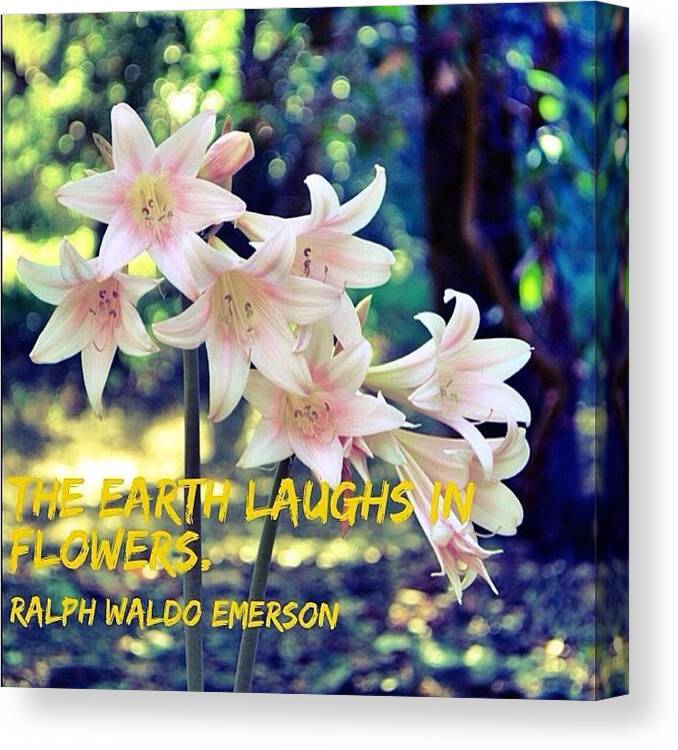 Pink Canvas Print featuring the photograph The Earth Laughs In Flowers. ~ Ralph by Gia Marie Houck