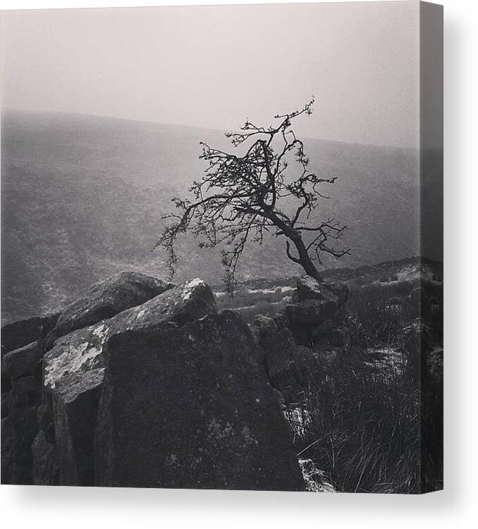  Canvas Print featuring the photograph The Higher I Climb, The More Dramatic by Ilko Batakliev
