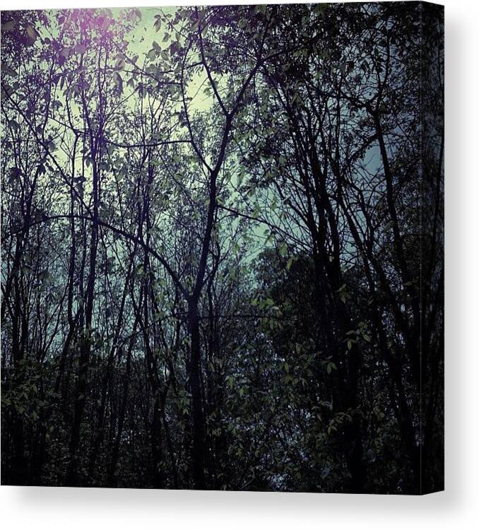  Canvas Print featuring the photograph The Jungle by Patrice Gagnon