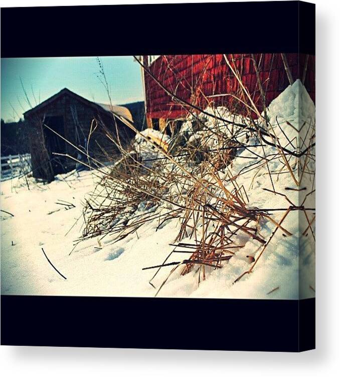 Picstitch Canvas Print featuring the photograph The Last Days Of Winter... by Sarah Watson