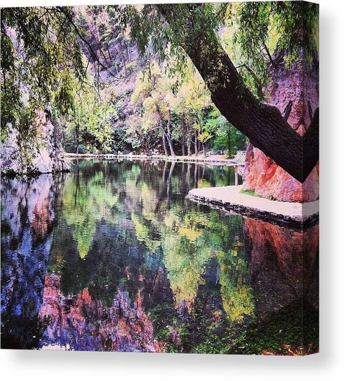 Zaragoza Canvas Print featuring the photograph The nature is magic by Ana V