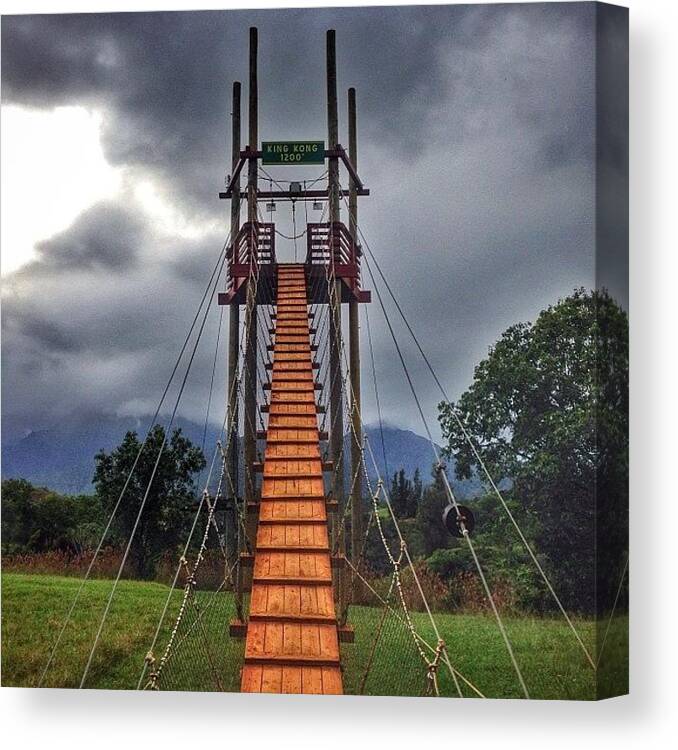 Zipline Canvas Print featuring the photograph The Plank To king Kong 1200' by Justin DeRoche