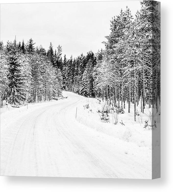  Canvas Print featuring the photograph The Road by Aleck Cartwright