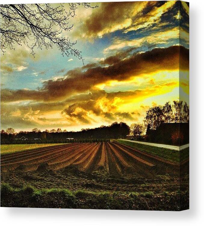  Canvas Print featuring the photograph The white Gold Fields! by Wilbert Claessens