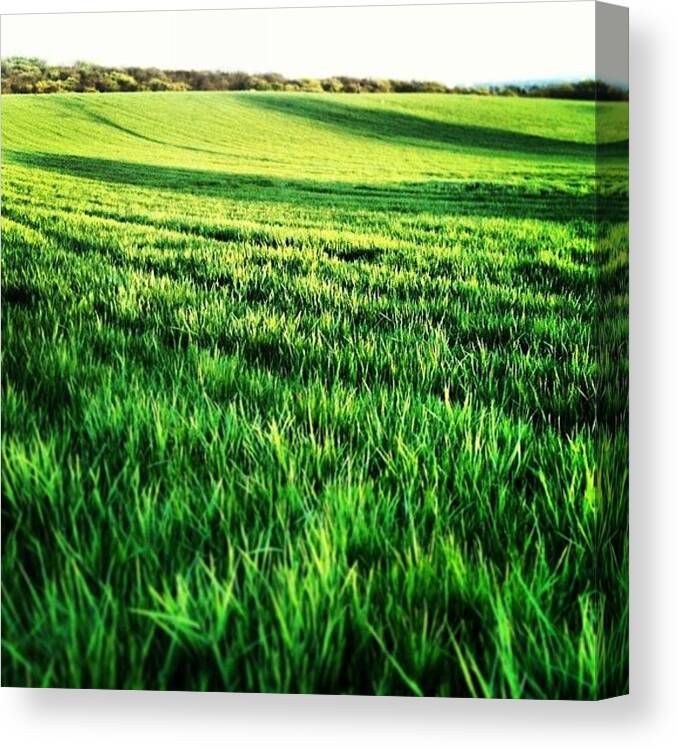Stones Canvas Print featuring the photograph This Farm Grows Gold, Silver, & by Joe Renaissance