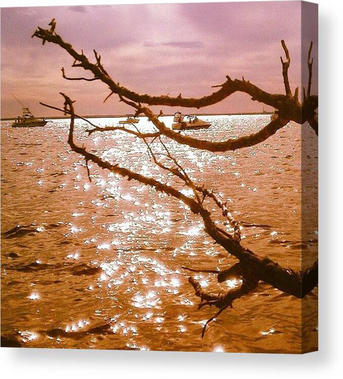 Sea Canvas Print featuring the photograph Tices Shoal by Michael Gonzalez