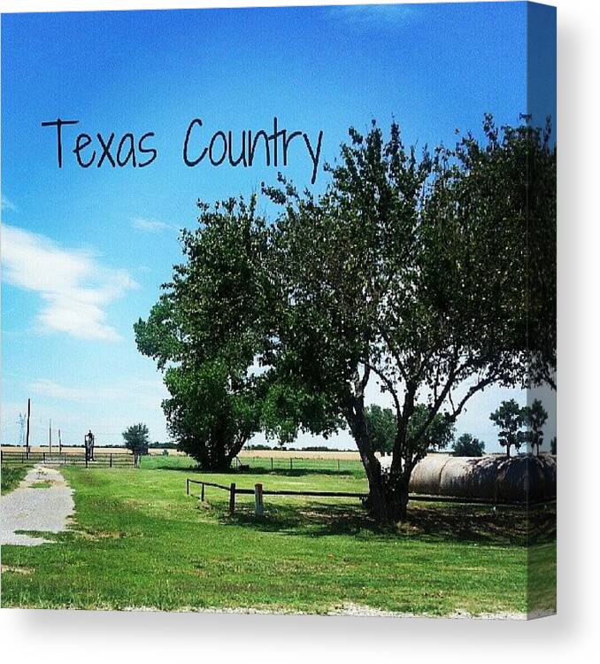 Icnature Canvas Print featuring the photograph Today's something Beautiful #texas by Deb Lew
