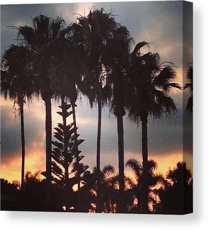 Sunset Canvas Print featuring the photograph Tonight by J Lopez