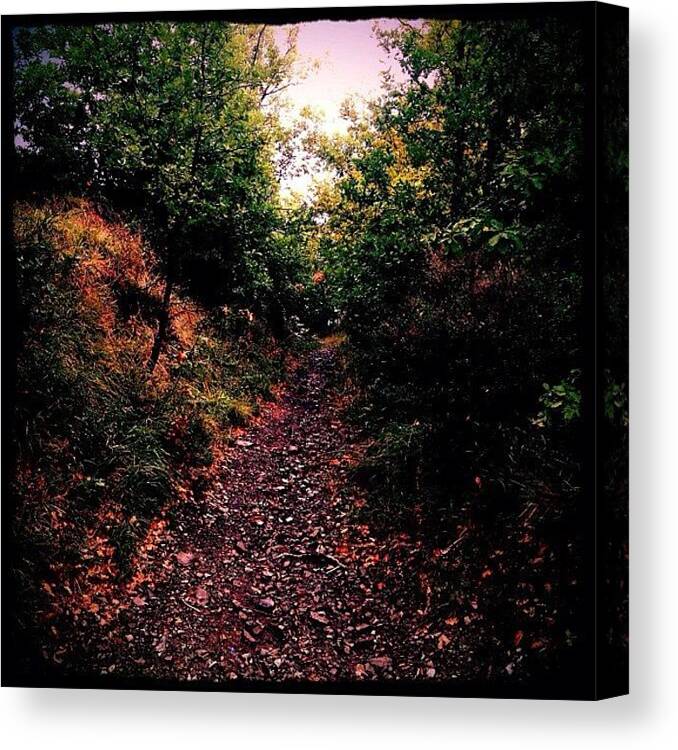 Art Canvas Print featuring the photograph Toward The Unknown by Ricky T