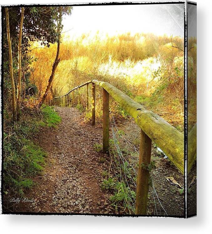 Instagram Canvas Print featuring the photograph Trailhead In Hartshill Hayes Country by Polly Rhodes