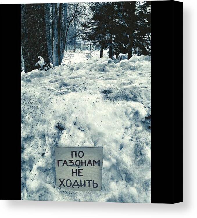  Canvas Print featuring the photograph Translation:don't Walk On Lawns by Naom Chikhladze