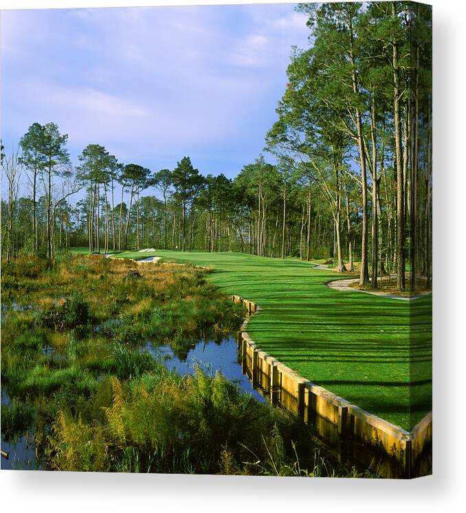 Photography Canvas Print featuring the photograph Trees In A Golf Course, Kilmarlic Golf by Panoramic Images